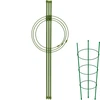 Obročna opora za rastline, 3 obroči, 0,5 m ['opora za rastline', ' obročna opora za grmovnice', ' vrtna opora', ' opora za vrtnice', ' vrtna pergola', ' objemka za rastline', ' oporni količek za rastline', ' opora za cvetje', ' opora za lončnice', ' opora za hortenzije', ' opora za borovnice', ' opora za vzpenjavke', ' zelena opora', ' temnozelena opora za rastline', ' jeklena opora za rastline z obroči']