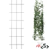 Opora za rastline - vrtna rešetka 150 x 45 cm ['opora za rastline', ' mrežasta opora za grmovje', ' vrtna opora', ' vrtna pergola', ' rešetka za rastline', ' opornik za rastline', ' opora za cvetje', ' opora za vrtne rastline', ' opora za bršljan', ' jeklena opora', ' opora z možnostjo pritrditve na steno', ' opora za vzpenjavke', ' opora za grme vrtnic', ' črna opora', ' katero oporo za rastline izbrati', ' urejen vrt', ' rešetka za vzpenjavke', ' opora za vrtnice', ' opora za bršljan', ' za grme vrtnic', ' kovinske opore za cvetje', ' vrtnarski pripomočki', ' kako skrbeti za rastline', ' priporočene opore za rastline', ' opora v obliki rešetke', ' opora za privijačenje na steno']