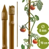 Prevlečena jeklena opora v obliki bambusa, 90 cm × 8 mm ['vrtni kol', ' kol za rastline', ' opora za rastline', ' vrtna opora', ' kovinske vrtne opore', ' opora za vzpenjavke', ' opore za plezalne rože', ' kovinske opore za rože', ' prevlečeni kovinski koli', ' prevlečen kol za rastline', ' jeklena opora v obliki bambusa', ' vrtnarski pripomočki', ' kako skrbeti za rastline', ' priporočene opore za rastline', ' zelena opora', ' jeklene opore v slogu bambusa', ' bambusove opore', ' opore v obliki bambusa']