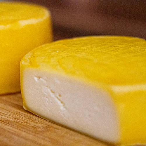 Bakterijske kulture za sir Gouda - 5