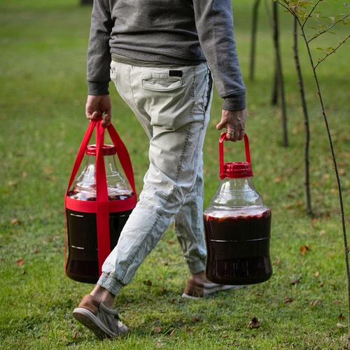 Damižana za vino, lahka, nelomljiva, z nosilnimi trakovi, 10 l - 10
