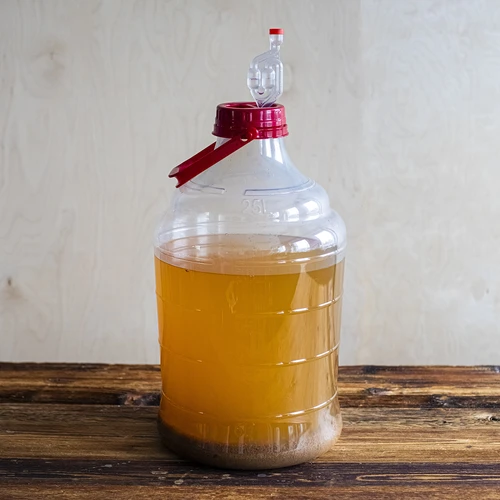 Damižon za vino, lahek, nelomljiv, z ročajem, 25 L - 13