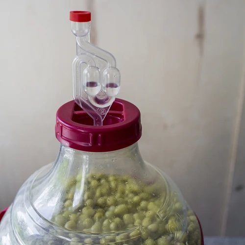 Damižona za vino, lahka, nerazbitna, z naramnicami, 20 L - 14