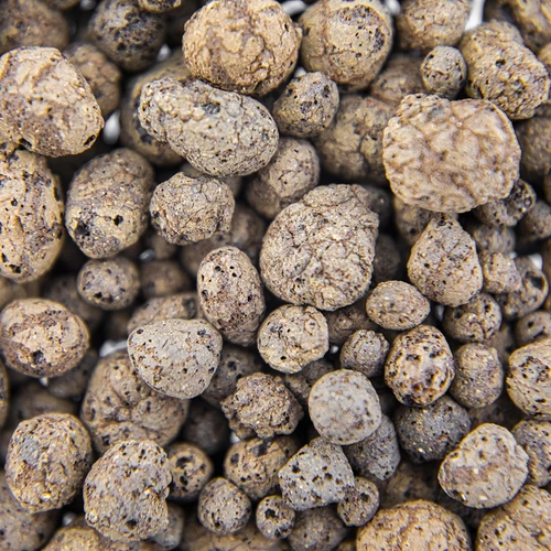 Ekspandirana glina za lončnice, vrtnarjenje in gozdove v steklu, 4–10 mm, 1 L - 5