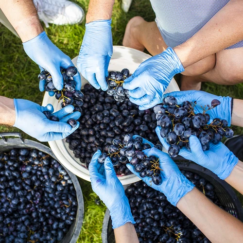 Fermentacijska posoda s pokrovom 30 L - 17