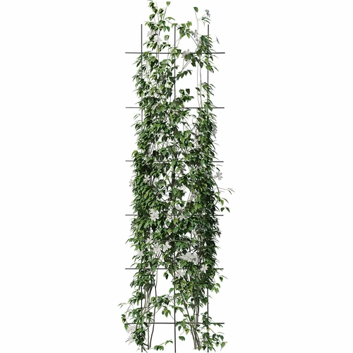 Opora za rastline - vrtna rešetka 150 x 45 cm - 3