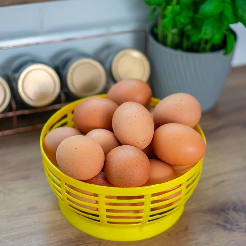 Plastični koš za Dam 5L, rumen - 8