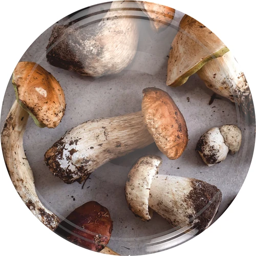 Pokrovček fi 82/6 gobe 2 - 10 kos.