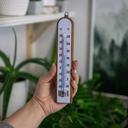 Sobni termometer z belo lestvico (od -30 °C do +50 °C) 20 cm - 3