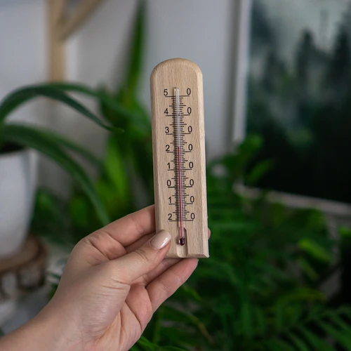Sobni termometer z vzorcem (-20°C do +50°C) 15cm - 4