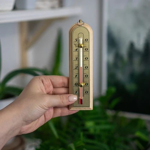 Sobni termometer z zlato lestvico (-10 °C do +50 °C) 16 cm - 3