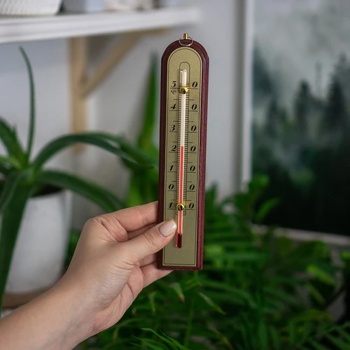 Sobni termometer z zlato lestvico (-10 °C do +50 °C) 22 cm, mešan izbor - 3