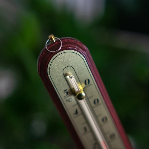 Sobni termometer z zlato lestvico (-10 °C do +50 °C) 22 cm, mešan izbor - 4