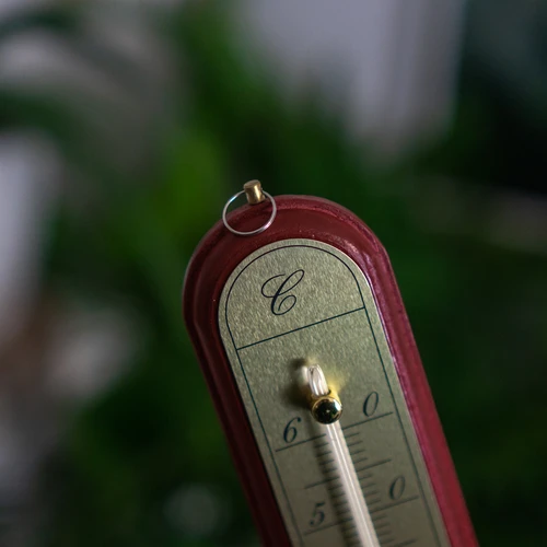 Sobni termometer z zlato lestvico (-10 °C do +60 °C) 28 cm mix - 7
