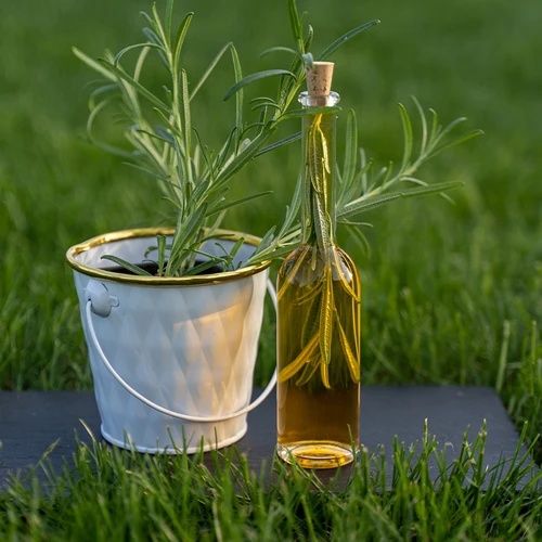 Steklenica za liker 100 ml 6 kos + 6 zamaškov - 10