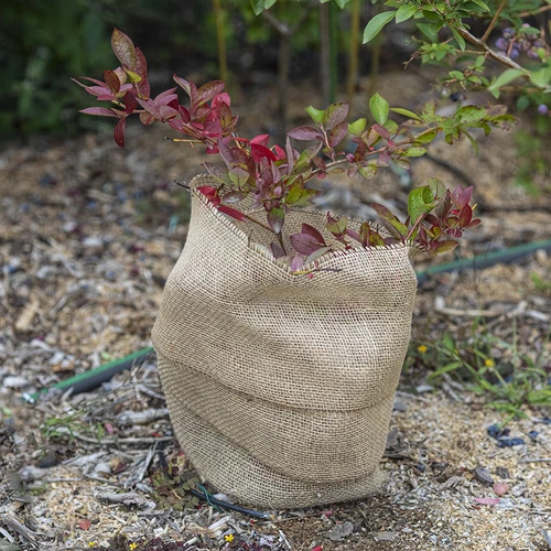 Trak iz jute 10 cm/5 m - 6