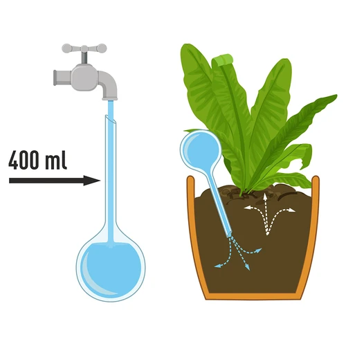 Zalivalne krogle za rastline, črne prozorne, 400 ml, 4 kosi. - 4