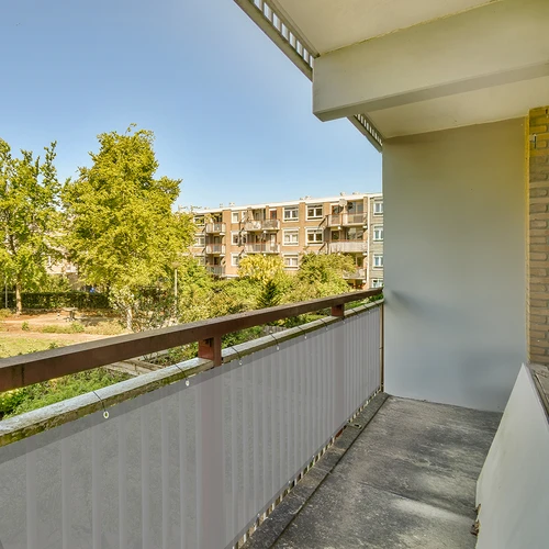 Zasenčevalna mreža (80 %, 140 g/m2) 0,9x5 m, grafitna - 8