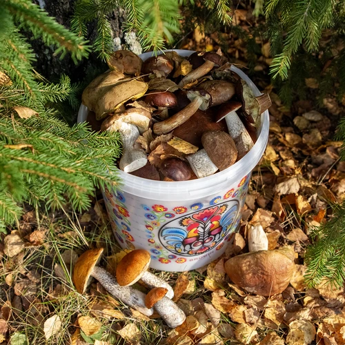 Živilsko vedro GWIOZDA - s pokrovom, 10 L - 10