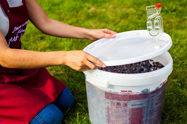 Kako narediti vino korak za korakom?