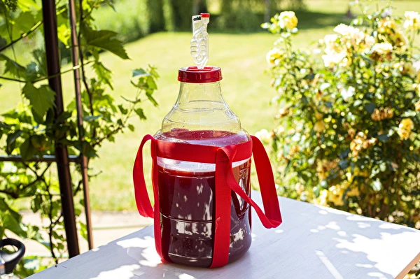Kako narediti vino korak za korakom?