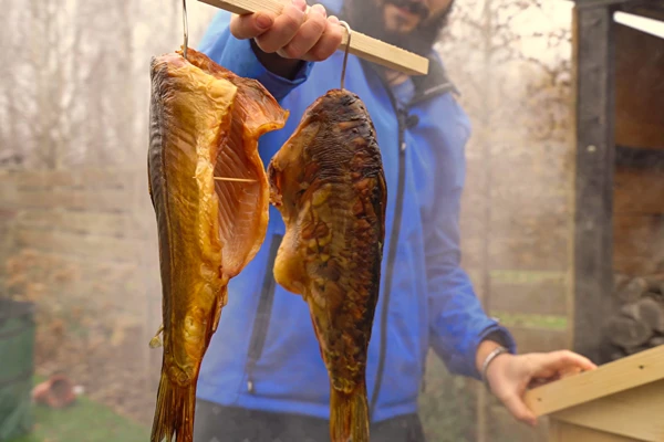 Prekajeni krap