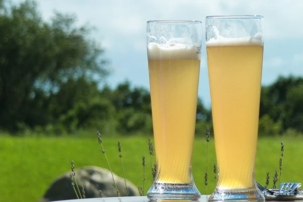 Pšenično pivo »Belo«