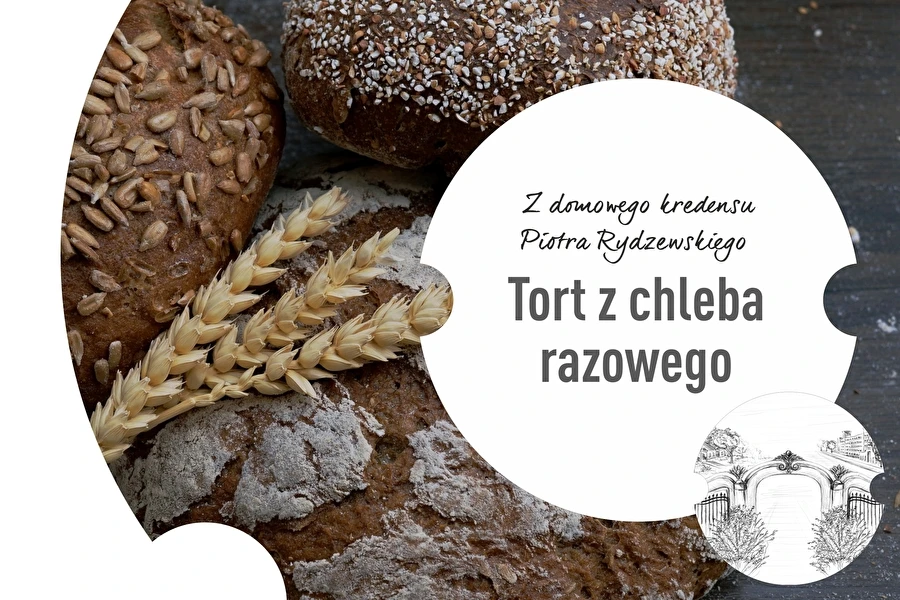 Epizoda 1: Torta iz polnozrnatega kruha