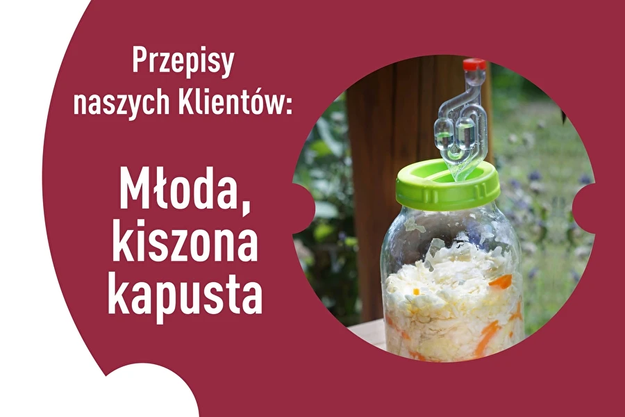 Browin Przepiśnik - Recepti naših strank: Mlado kisano zelje